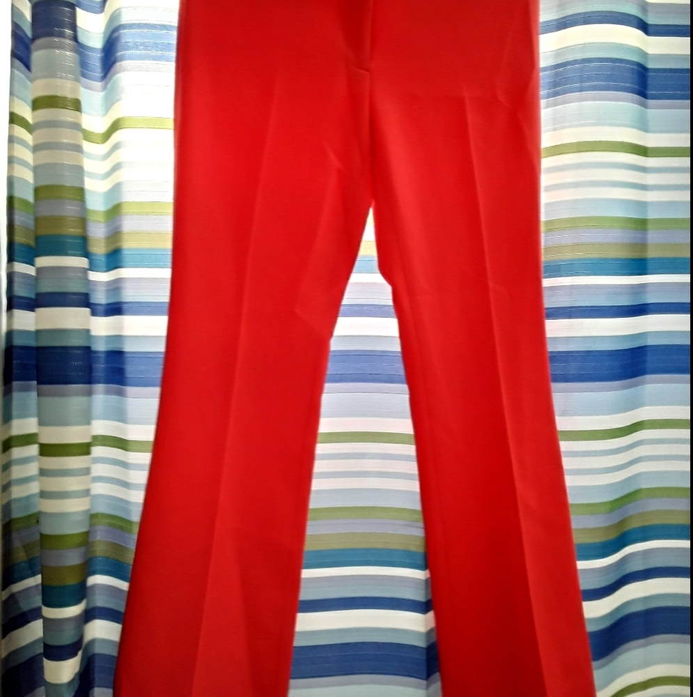 Ann Klien pants
